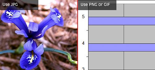 北京網站建設 shuizhela.com