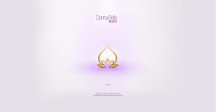 紫琪爾國(guó)際美胸機(jī)構(gòu) 網(wǎng)站建設(shè) shuizhela.com