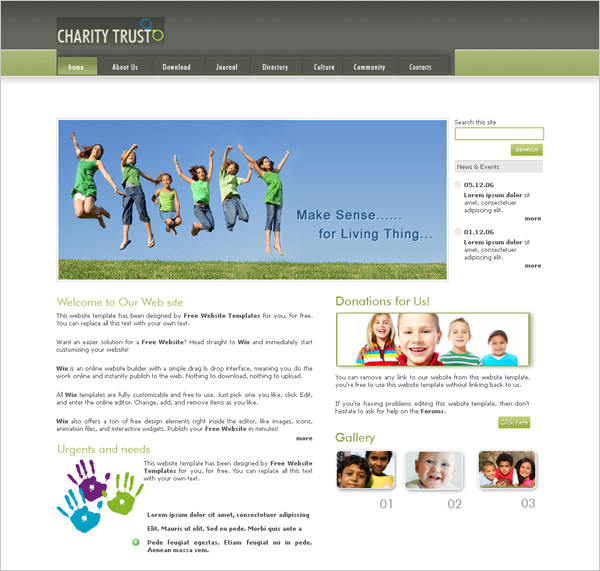 慈善閃光模板 慈善閃光模板