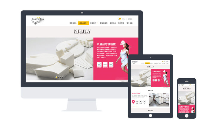 網站建設與網絡營銷 網站建設與網絡營銷