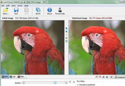 網站建設 網站建設