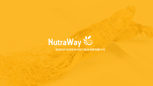 松齡諾-.png 松齡諾-.png