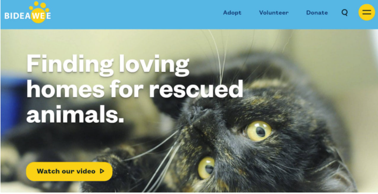 提供良好的對比 提供良好的對比