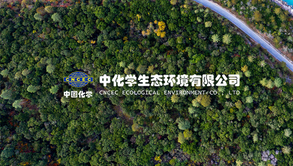 中化學工程集團公司