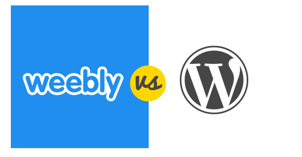 永久免費的建站系統 永久免費的建站系統